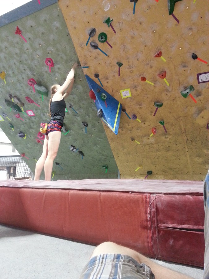 Sue Brumm Dark Horse MetroRock