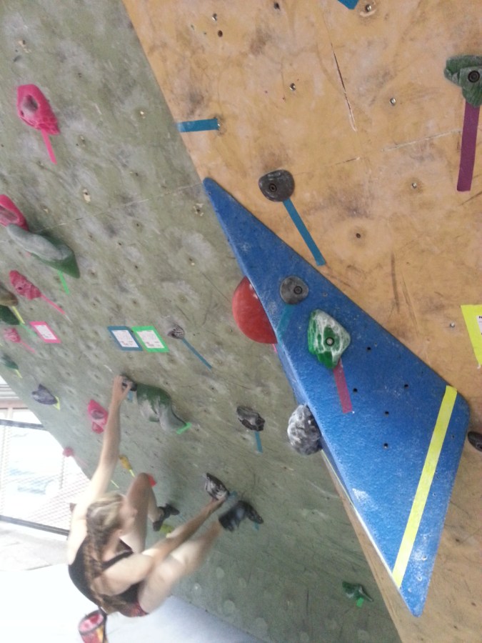 Sue Brumm Dark Horse MetroRock