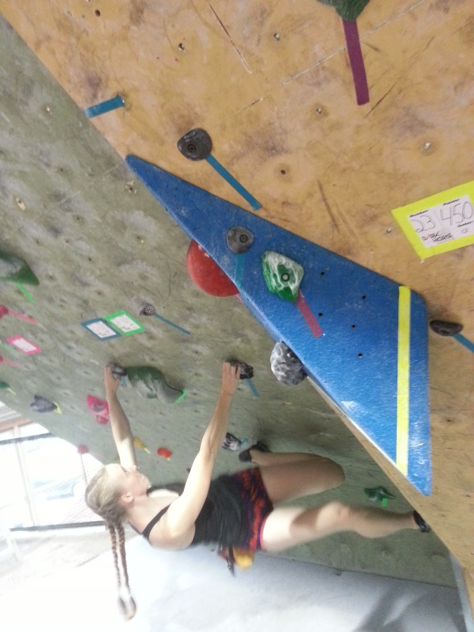 Sue Brumm Dark Horse MetroRock