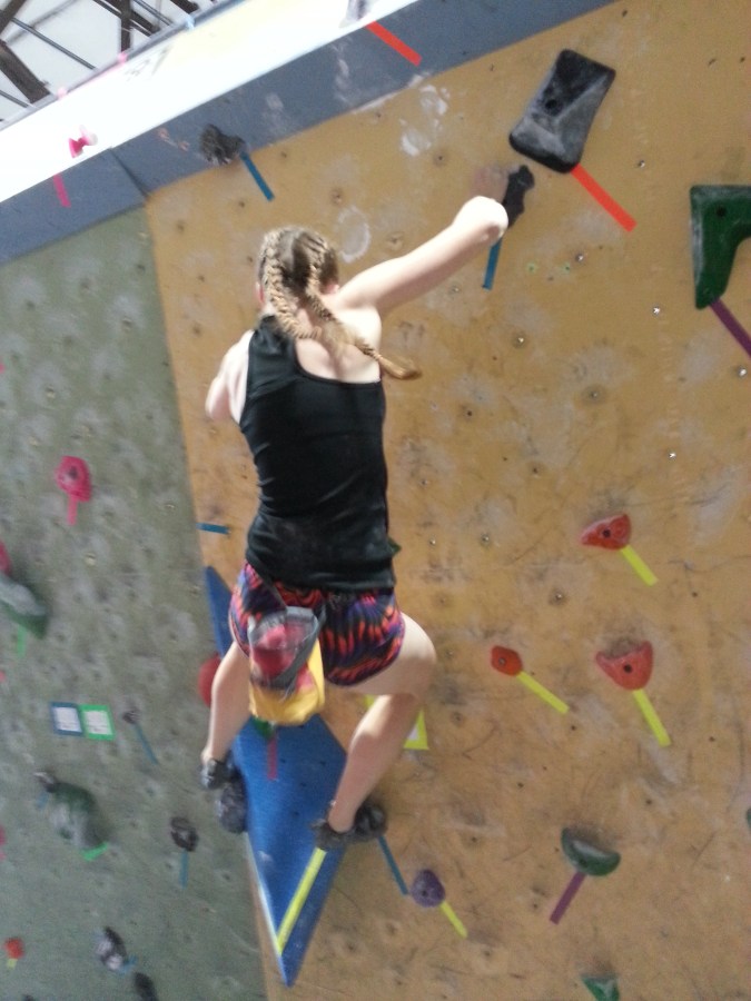 Sue Brumm Dark Horse MetroRock