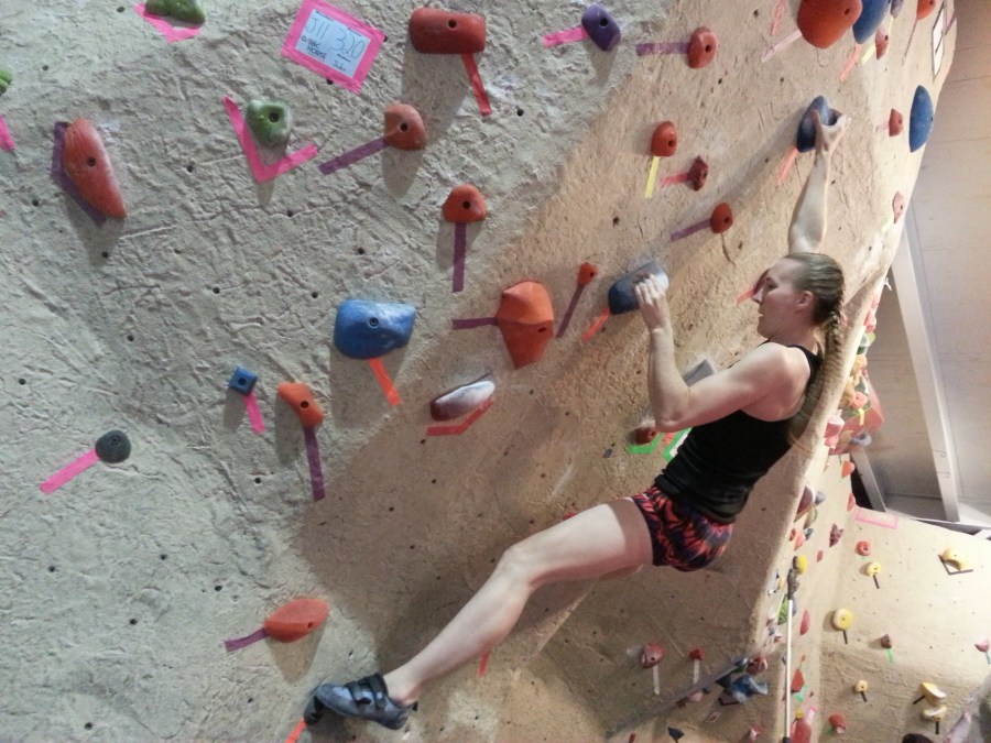 Sue Brumm Dark Horse MetroRock