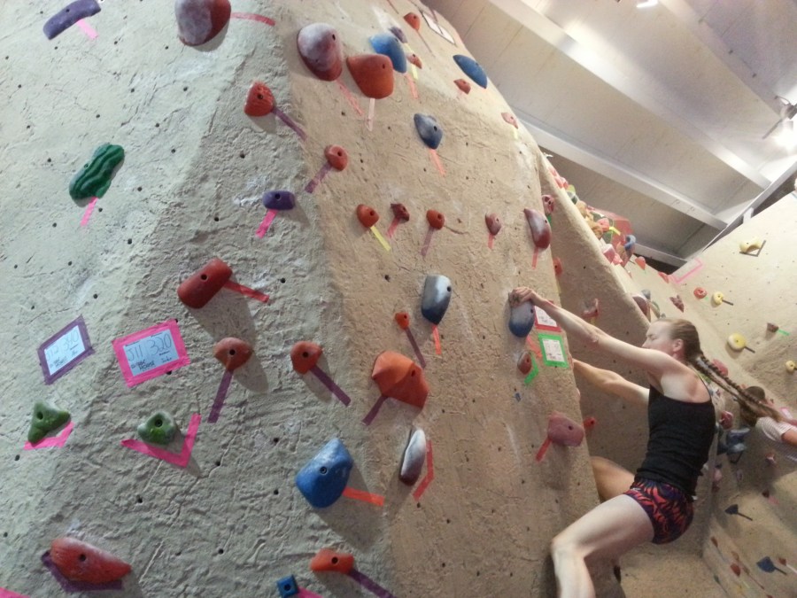 Sue Brumm Dark Horse MetroRock