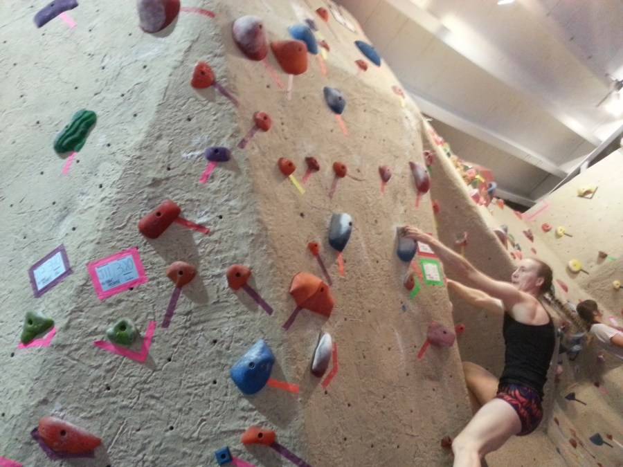 Sue Brumm Dark Horse MetroRock