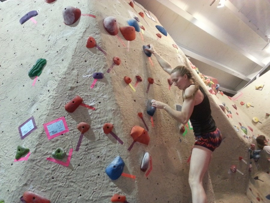 Sue Brumm Dark Horse MetroRock