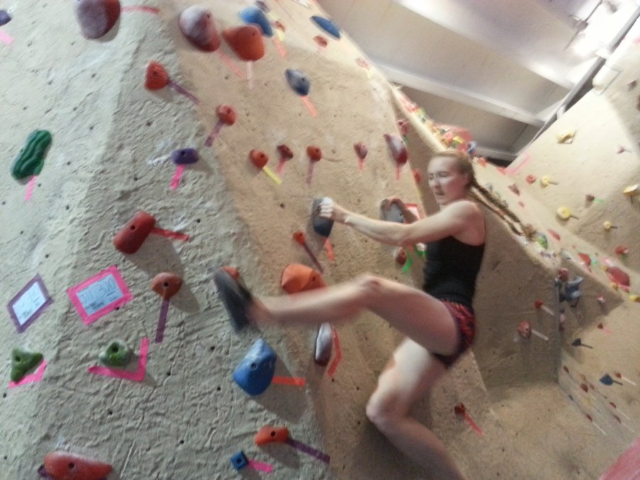 Sue Brumm Dark Horse MetroRock