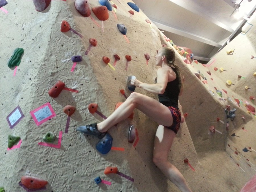 Sue Brumm Dark Horse MetroRock